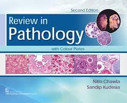Review in Pathology with Colour Plates (Paperback)