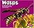 Wasps (Bugs, Bugs, Bugs!)