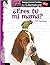 Shell Education 51749 Eres ...