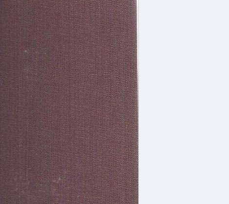 Wolf: A Modern Look (Hardcover)