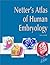 Netter's Atlas of Human Embryology (Netter Basic Science) by Larry R. Cochard PhD (2002-06-15)