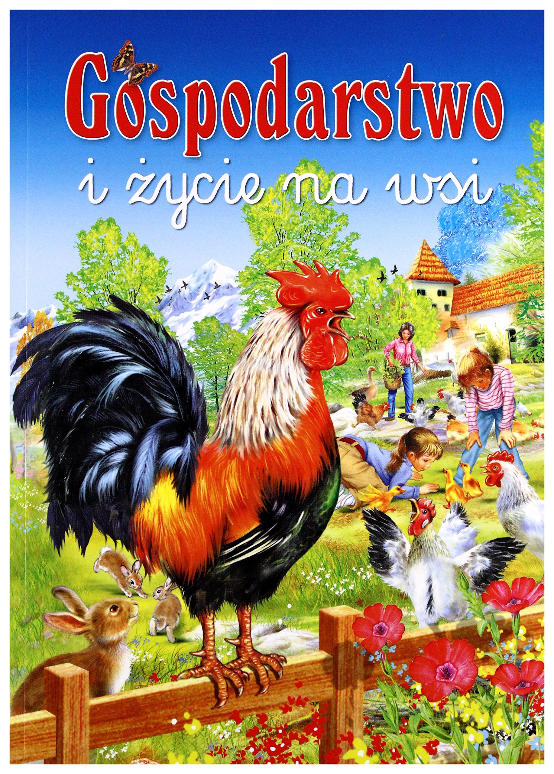 Gospodarstwo i Ĺzycie na wsi - Francisco Arredondo [KSIÄĹťKA] (Paperback)