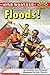 By Lorraine Jean Hopping - Wild Weather: Floods! (Hello Reader! Science: Level 4) (2000-06-16) [Paperback]