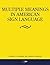 Multiple Meanings in American Sign Language by Brenda E Cartwright (2009-01-01)