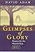 Glimpses of Glory: Year C: Prayers for the Church Year (Society for Promoting Christian Knowledge) by Adam, David (2000) Paperback