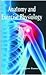 Anatomy and Exercise Physio...