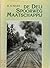 De Deli Spoorweg Maatschappij: Driekwart eeuw koloniaal spoor (Dutch Edition)