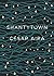 Shantytown by C?ar Aira (2013-11-20)