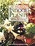 Indoor Plants: The Essential Guide to Choosing and Caring for Houseplants by Grahame Clarke (1997-03-10)