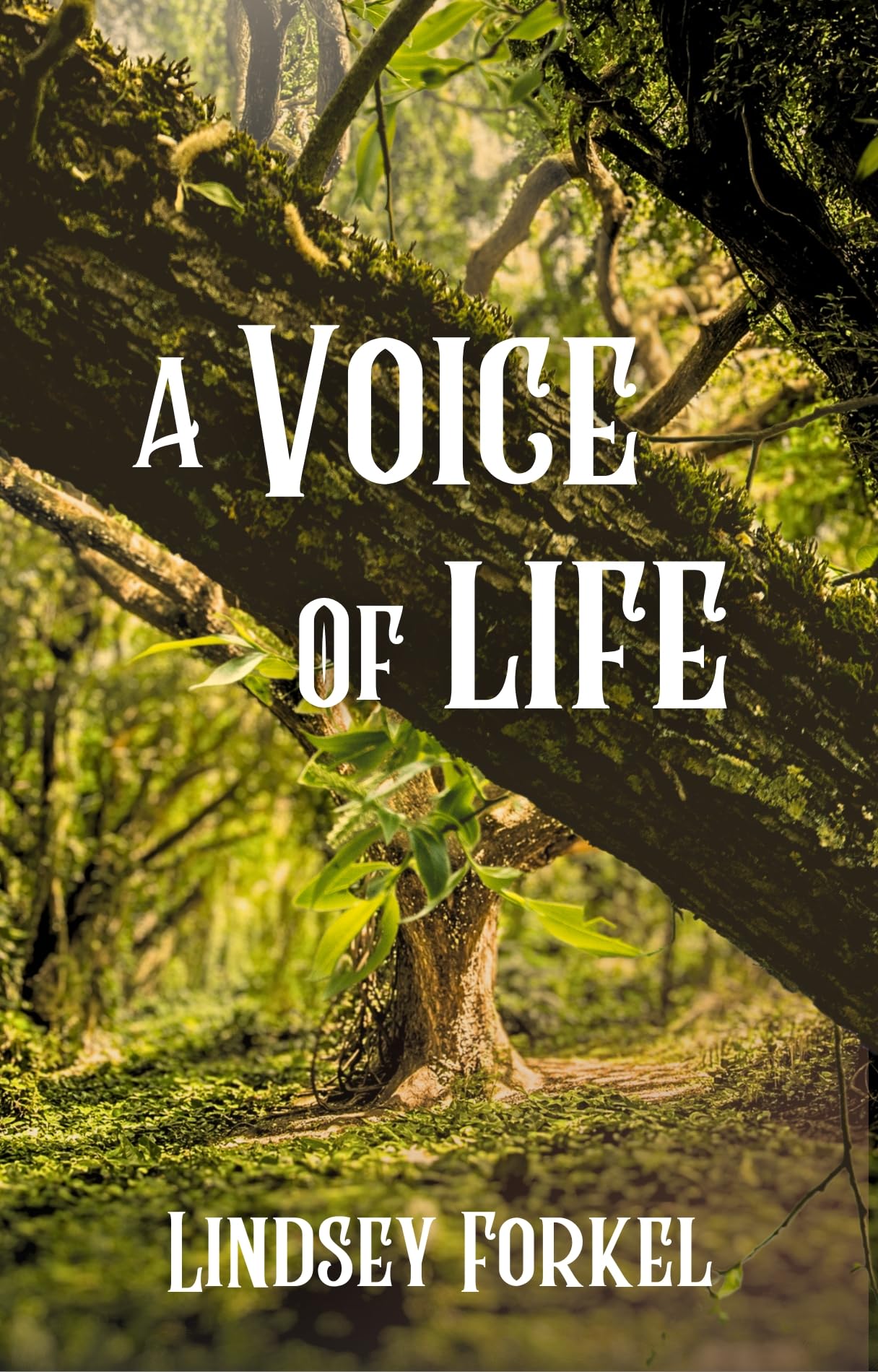 A Voice of Life (The Voice Series Book 1)