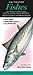 Saltwater Fishes of North Carolina, South Carolina & Georgia: A Guide to Inshore & Offshore Species (Quick Reference Guides) by Diane Rome Peebles (July 1, 2011) Pamphlet pamphlet