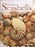World of Seashells, The