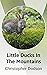Little Ducks In The Mountains by Christopher Dodson