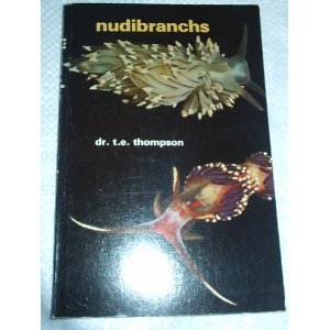 Nudibranchs (Paperback)