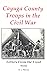 Cayuga County Troops in the Civil War by R. L. Murray