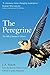 The Peregrine