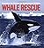 Whale Rescue: Changing the Future for Endangered Wildlife (Firefly Animal Rescue) by Hoyt, Erich(March 5, 2005) Library Binding
