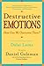 Destructive Emotions: A Scientific Dialogue with the Dalai Lama by Goleman, Daniel (March 30, 2004) Paperback