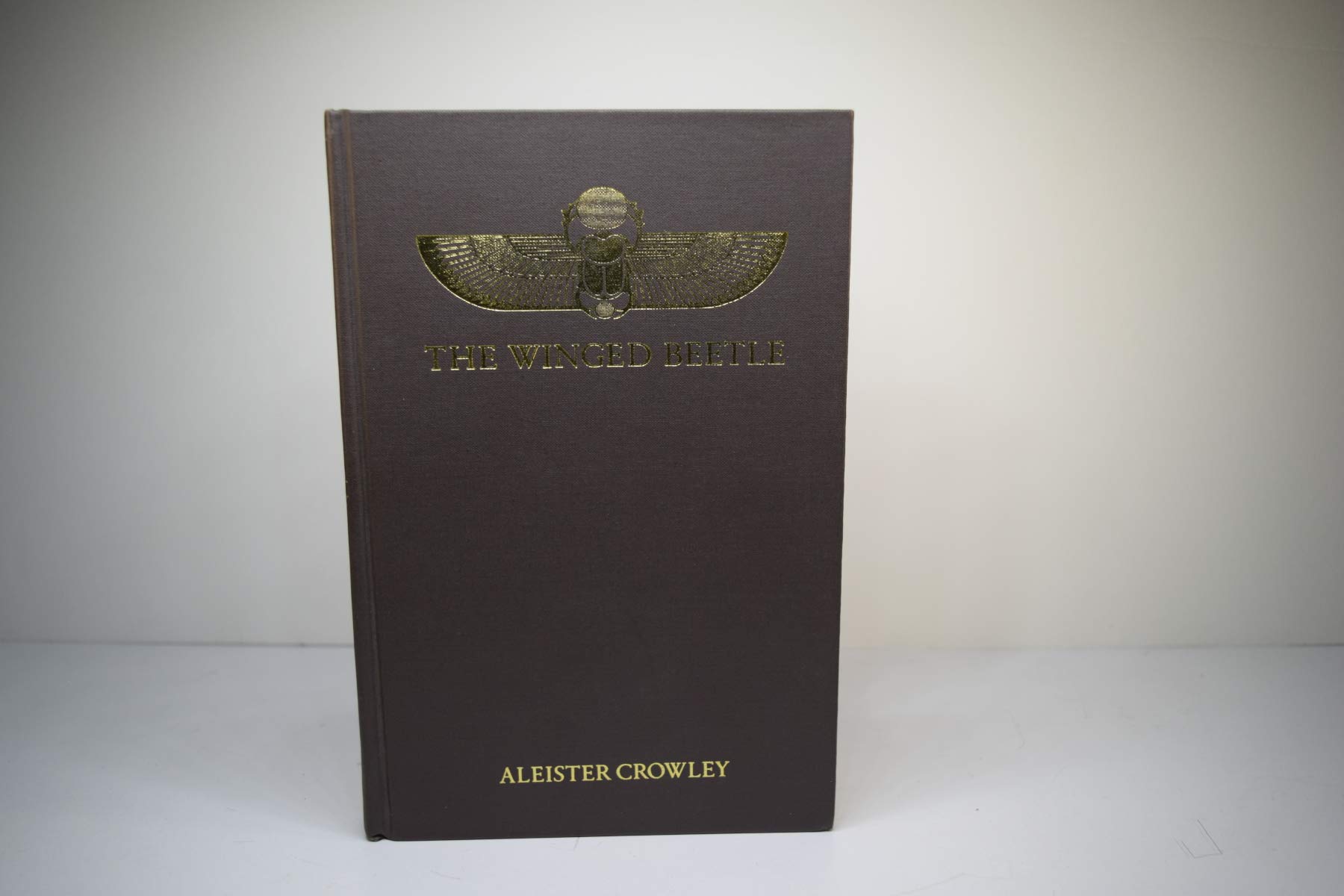 The Winged Beetle (Hardcover)