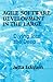 Agile Software Development in the Large: Diving Into the Deep by Eckstein, Jutta (2004) Paperback