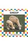 Sheep (Farm Animals)
