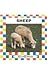 Sheep (Farm Animals)