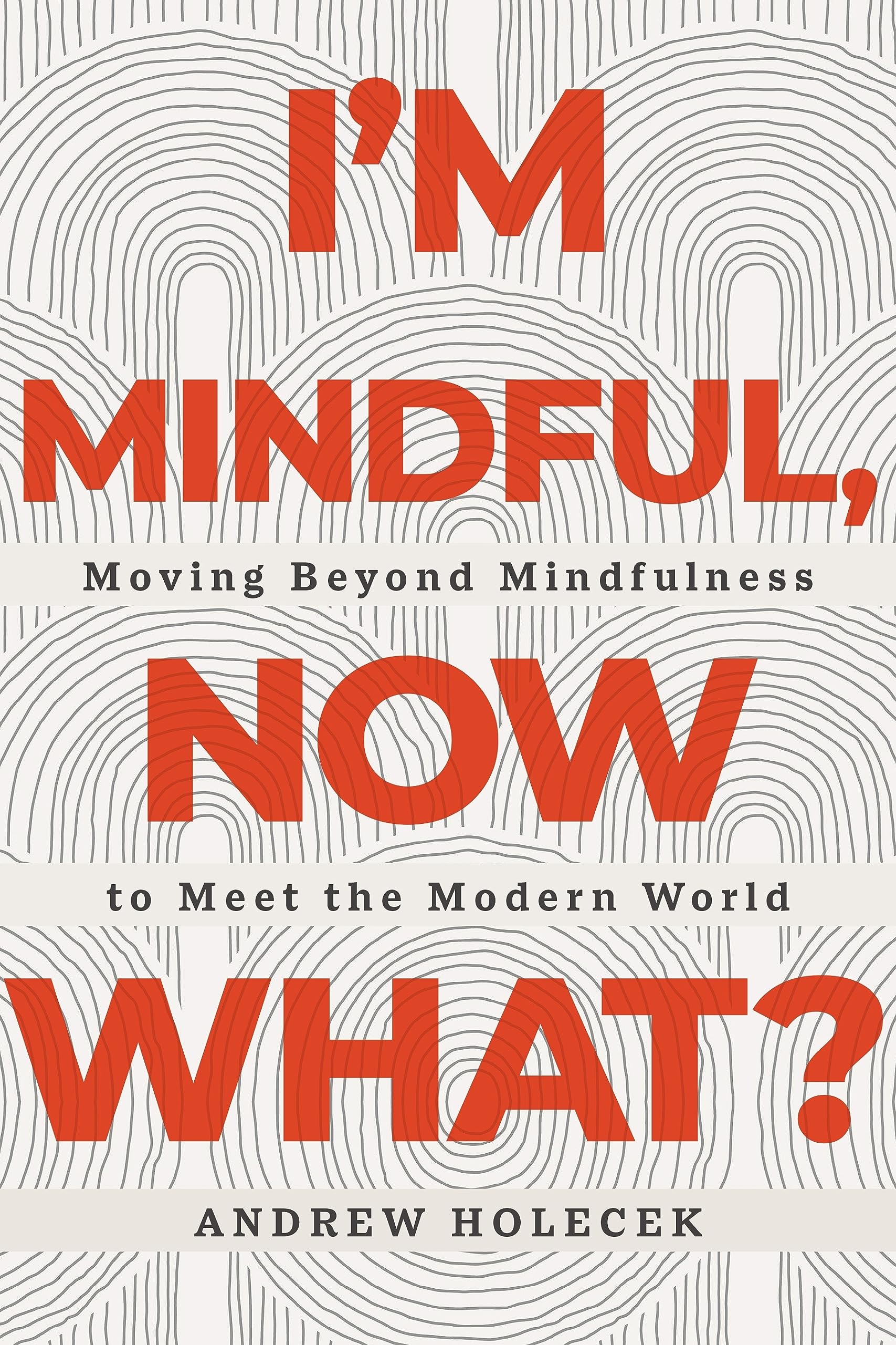 I'm Mindful, Now What?: Moving Beyond Mindfulness to Meet the Modern World (Paperback)