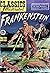 FRANKENSTEIN by Ruth A. Roche