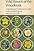 WILD FLOWERS OF THE WOODLANDS (COTMAN-COLOR S.)