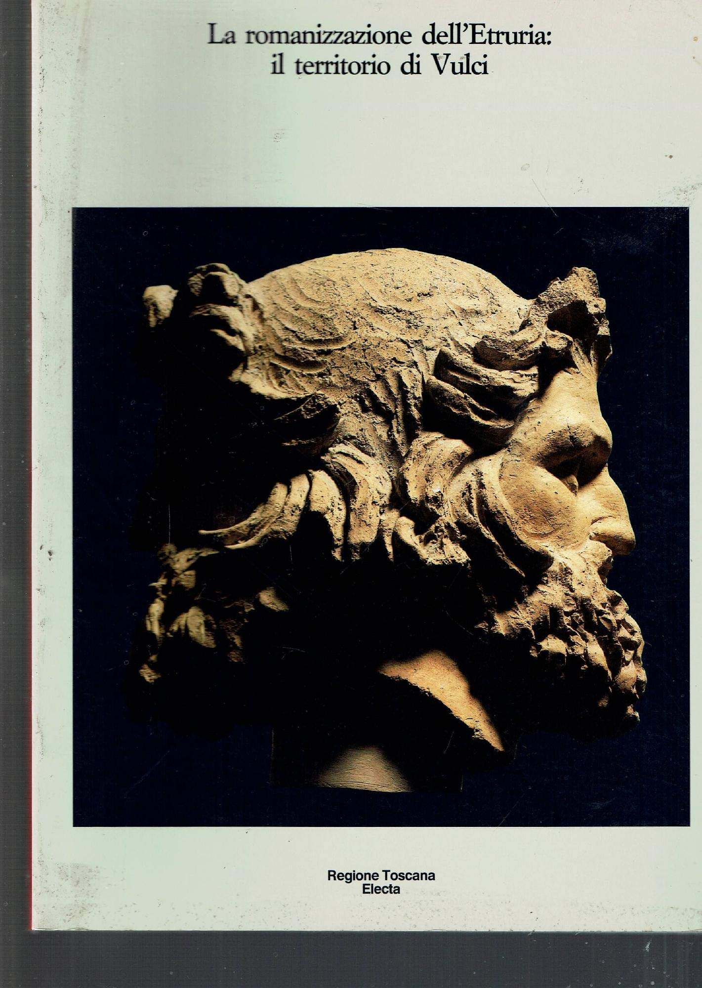 La Romanizzazione dell'Etruria: Il territorio di Vulci (Italian Edition)