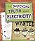 The Shocking Truth about Electricity (Fact Finders: LOL Physical Science)