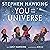 You and the Universe