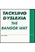 Tackling Dyslexia: The Bang...
