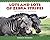 [(Lots and Lots of Zebra Stripes : Patterns in Nature)] [By (author) Stephen R Swinburne ] published on (March, 2002)