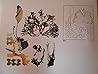Dyes from Lichens and Plants