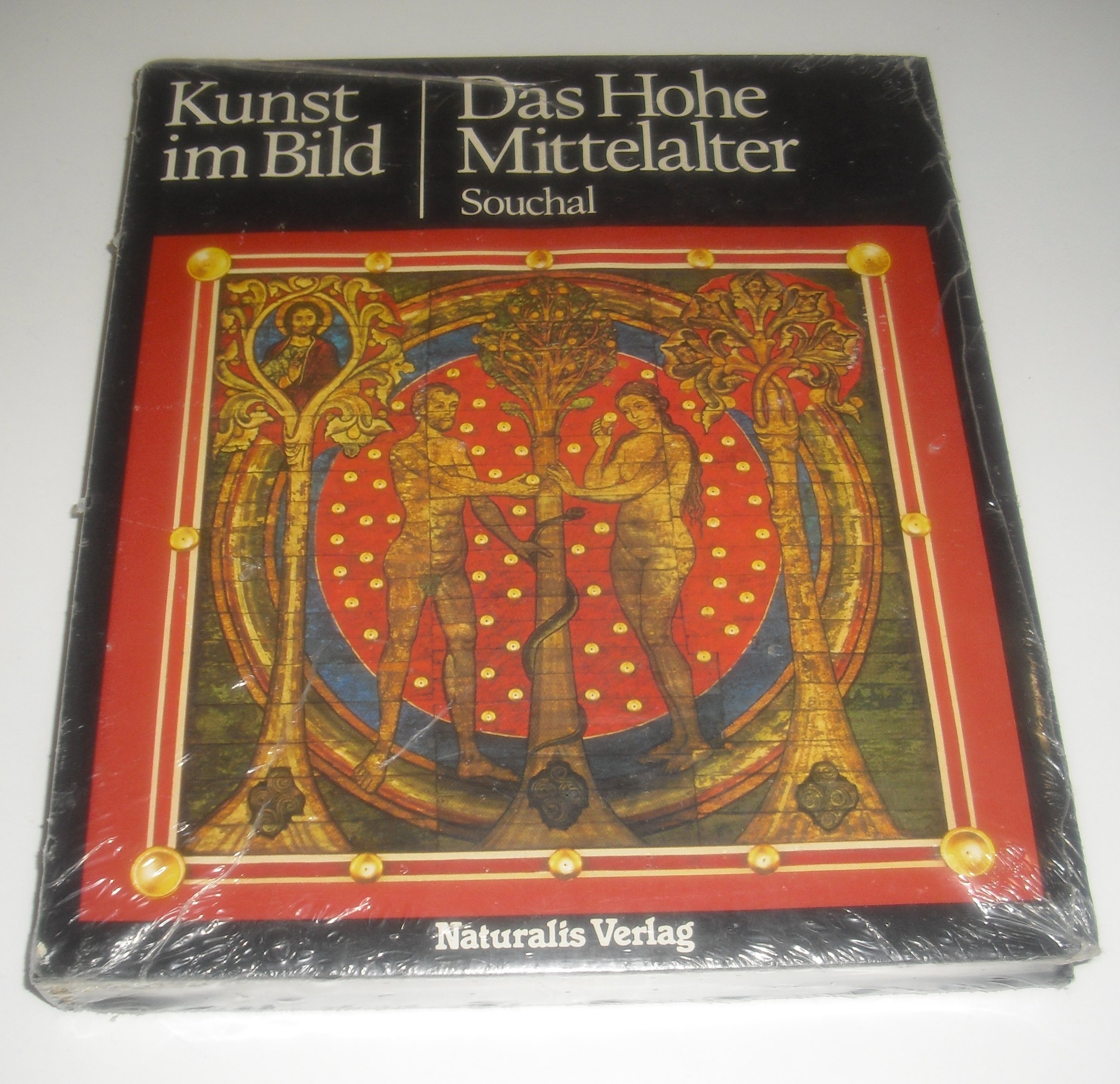 Kunst im Bild. Das Hohe Mittelalter (Paperback)