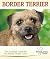 Border Terrier (Breedlover's Guide(TM)) by Lorie Long (2011-07-01)