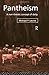 Pantheism: A Non-Theistic Concept of Deity by Michael P. Levine (1994-08-19)