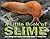 A Little Book of Slime