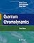 Quantum Chromodynamics 3rd. rev. and enlarg edition by Greiner, Walter, Schramm, Stefan, Stein, Eckart (2007) Paperback