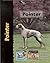 Pointer (Pet love) by Richa...