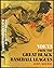 Voices from the great Black baseball leagues by John Holway