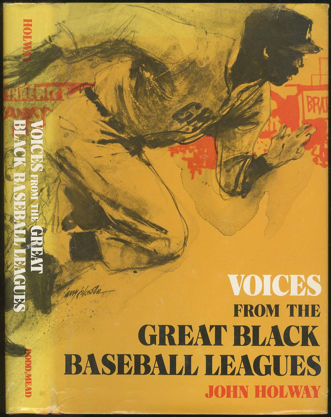 Voices from the great Black baseball leagues (Hardcover)
