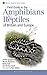 Field Guide to the Amphibians and Reptiles of Britain and Europe by Jeroen Speybroeck