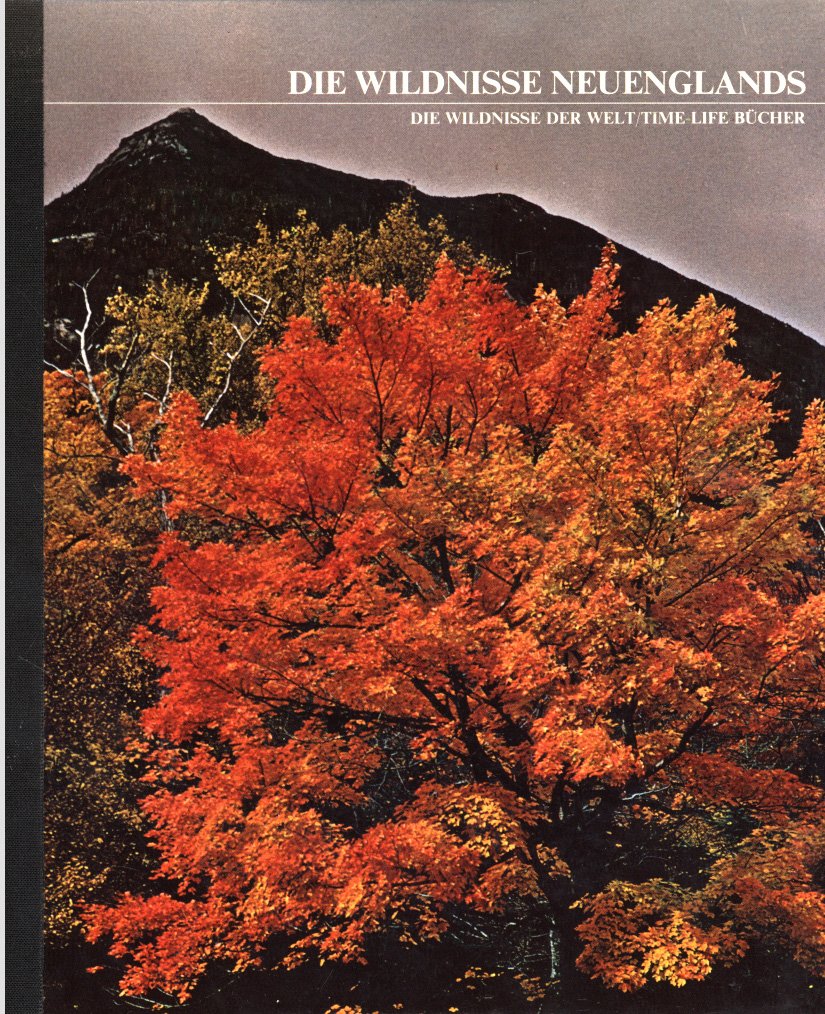 Ethiopic Astronomy and Computus (Unknown Binding)