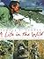 A Life in the Wild: George Schaller's Struggle to Save the Last Great Beasts by Pamela S. Turner (2008-10-28)