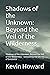 Shadows of the Unknown: Bey...