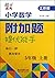 小学数学附加题提优能手（五年级上册 江苏版）