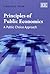 Principles of Public Economics: A Public Choice Approach
