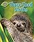 Three-Toed Sloths (Jungle Babies of the Amazon Rain Forest) by Lynette, Rachel (2013) Library Binding